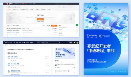 賦能創(chuàng)新 寒武紀(jì)多維度技術(shù)支撐，驅(qū)動(dòng)開(kāi)發(fā)者能力躍升與應(yīng)用軟件開(kāi)發(fā)新浪潮